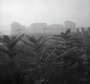 SW_F_SUP-SWCX1-0005050_IMG-0000000001