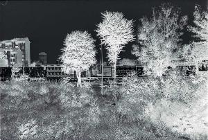 SW_F_SUP-SWCX1-0005747_IMG-0000000001