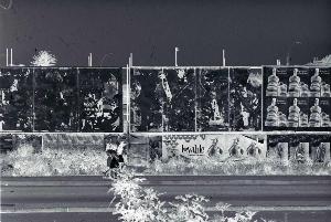 SW_F_SUP-SWCX1-0005756_IMG-0000000001
