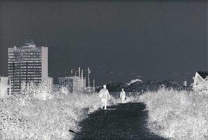 SW_F_SUP-SWCX1-0005767_IMG-0000000001