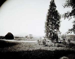 SW_F_SUP-SWCX1-0007020_IMG-0000000001