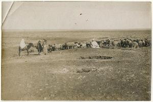 SW_F_SUP-SWCX1-0011145_IMG-0000000001