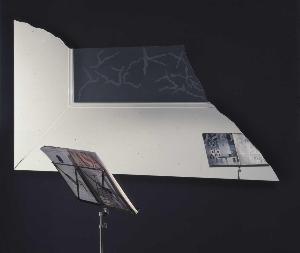 SW_F_SUP-SWCX1-0011177_IMG-0000000001