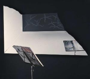 SW_F_SUP-SWCX1-0011185_IMG-0000000001