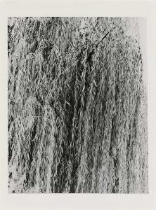 SW_F_SUP-SWCX1-0011821_IMG-0000000001