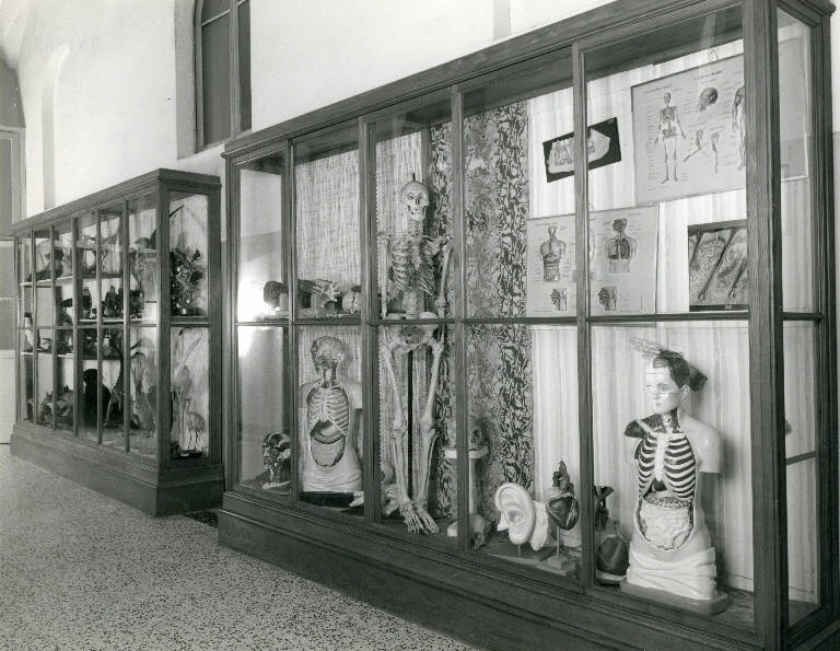 SC_F_SUP-5u010-0000145_IMG-0000782828