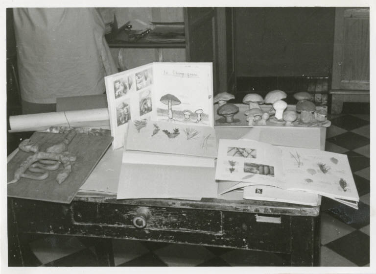 SC_F_SUP-5u010-0001161_IMG-0000783844