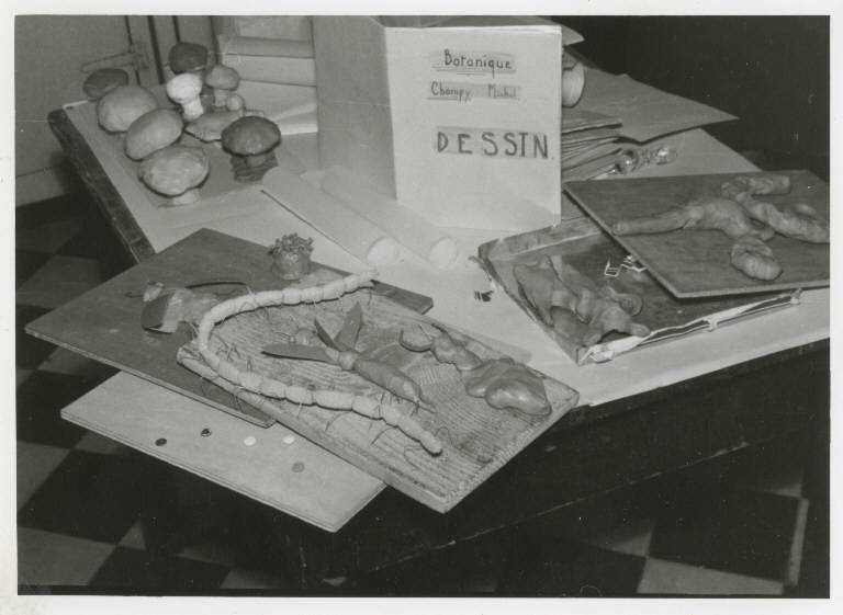 SC_F_SUP-5u010-0001162_IMG-0000783845