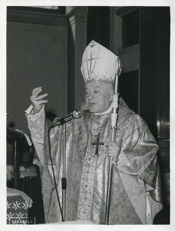 SC_F_SUP-5u010-0001310_IMG-0000783993