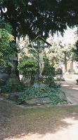SC_F_SUP-5u010-0001466_IMG-0000784149