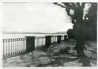 SC_F_SUP-5u010-0001494_IMG-0000784178
