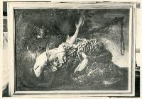 SC_F_SUP-5u010-0001499_IMG-0000784183
