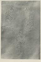 SC_F_SUP-5u010-0001645_IMG-0000784329