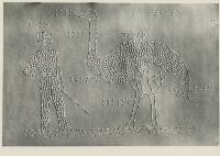 SC_F_SUP-5u010-0001653_IMG-0000784337