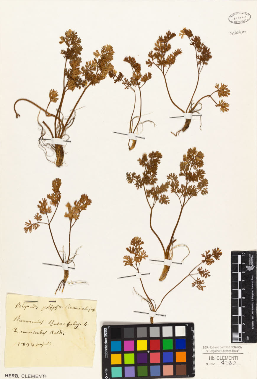 SW_BNB_s3010-01349_IMG-0000000001