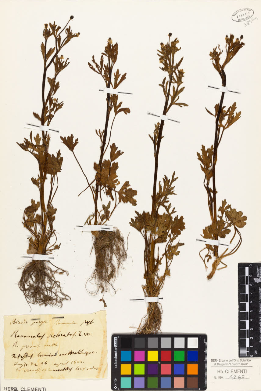 SW_BNB_s3010-01386_IMG-0000000001