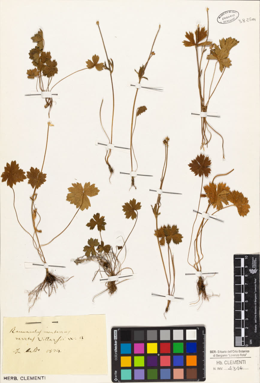 SW_BNB_s3010-01387_IMG-0000000001