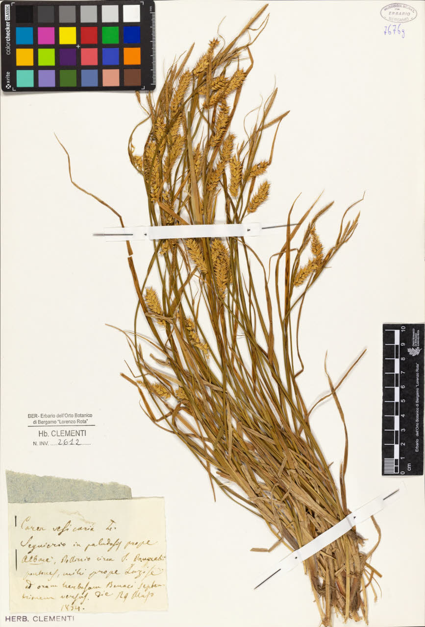 SW_BNB_s3010-01388_IMG-0000000001