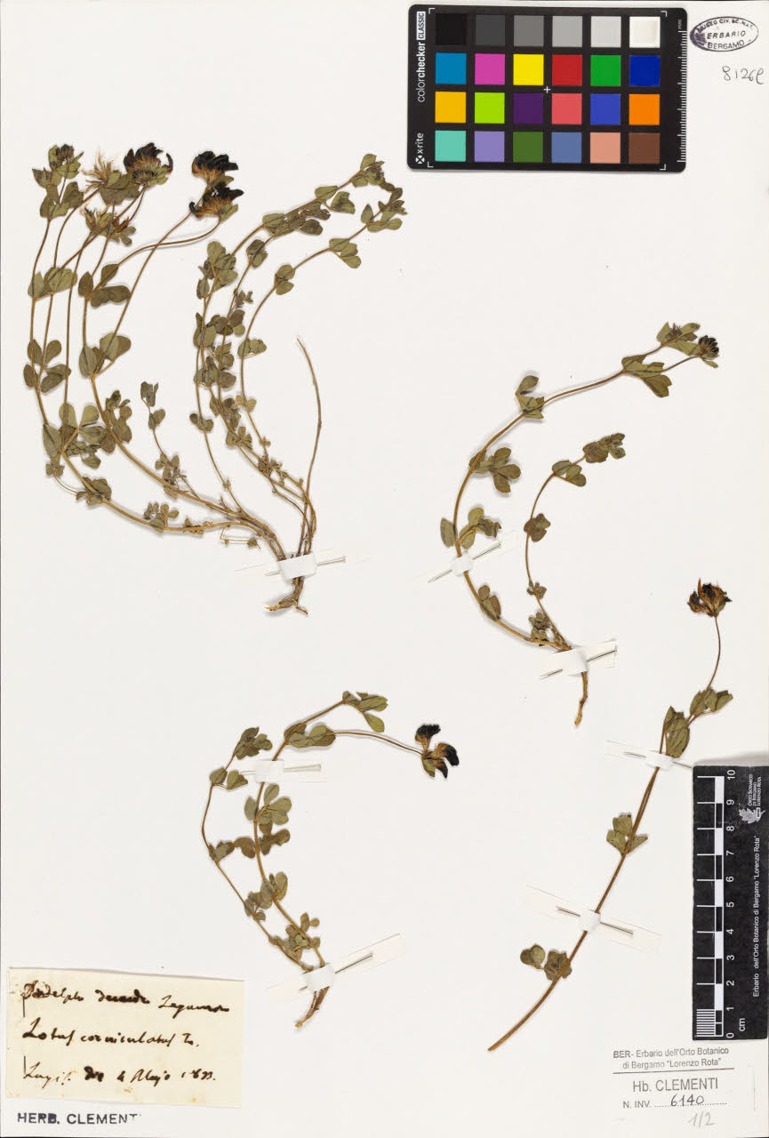 SW_BNB_s3010-01389_IMG-0000000001