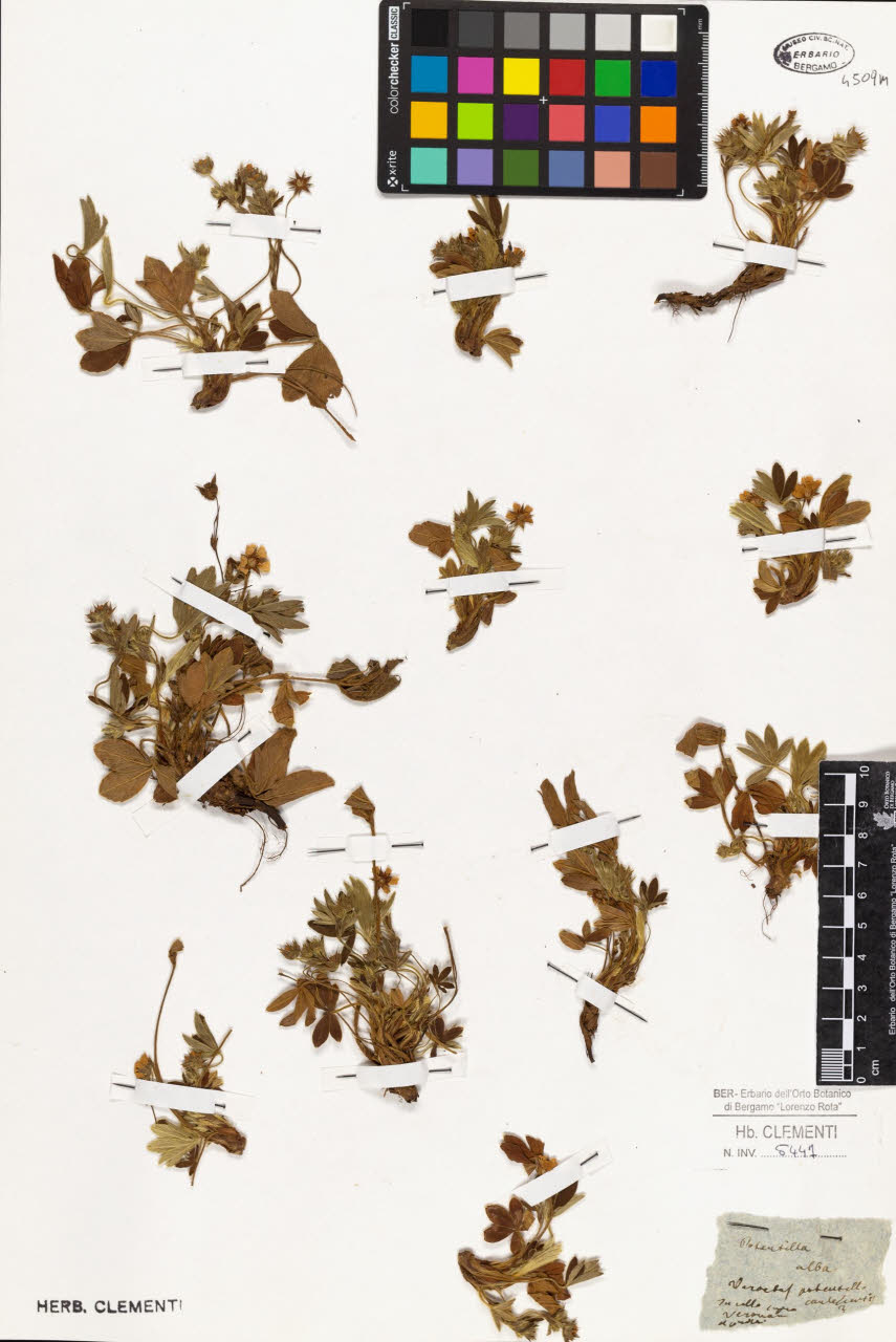 SW_BNB_s3010-01390_IMG-0000000001