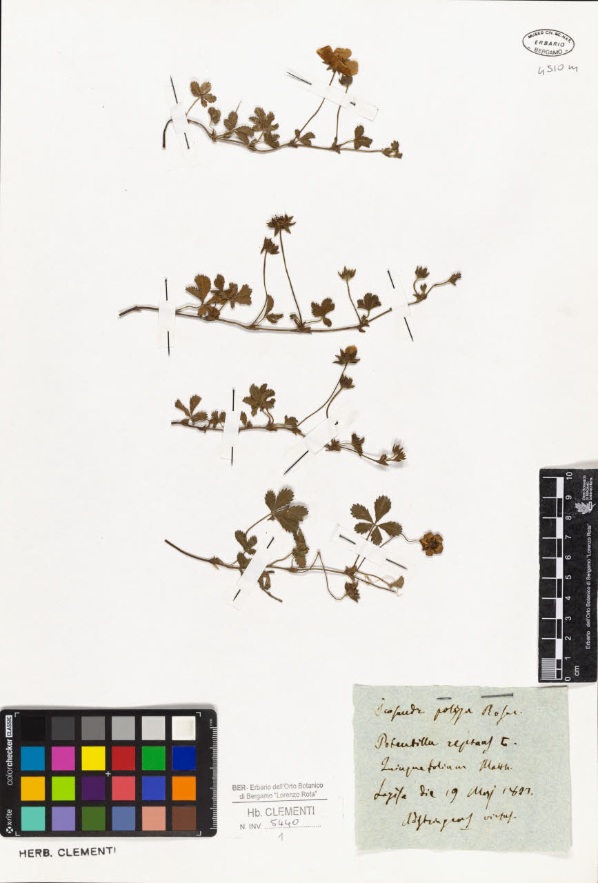 SW_BNB_s3010-01391_IMG-0000000001