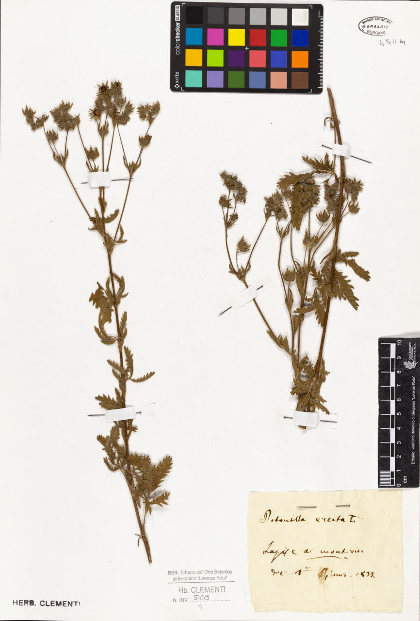 SW_BNB_s3010-01392_IMG-0000000001