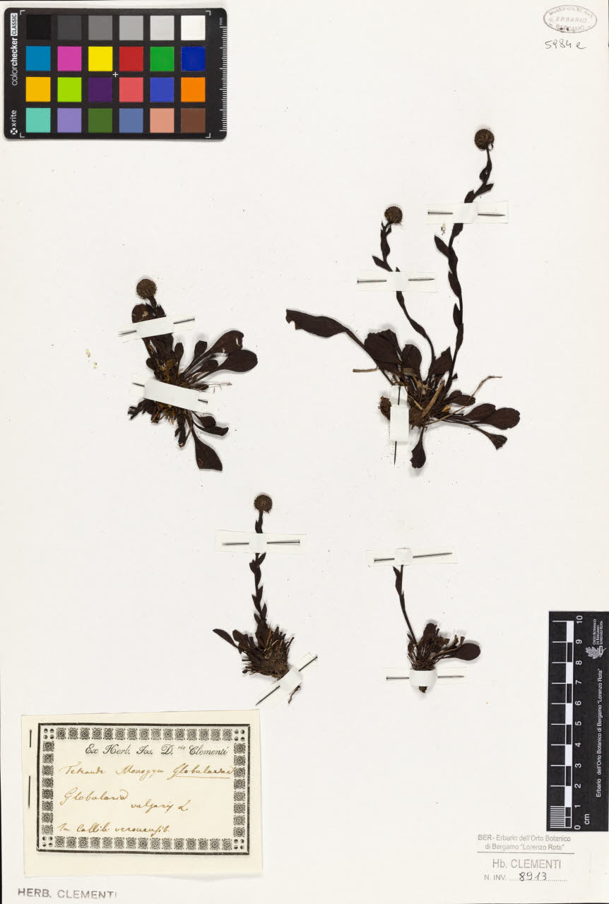 SW_BNB_s3010-01393_IMG-0000000001