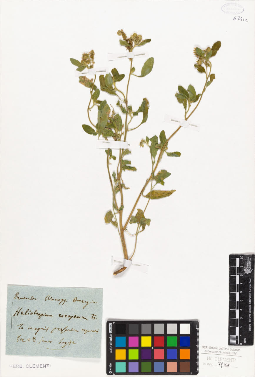 SW_BNB_s3010-01394_IMG-0000000001