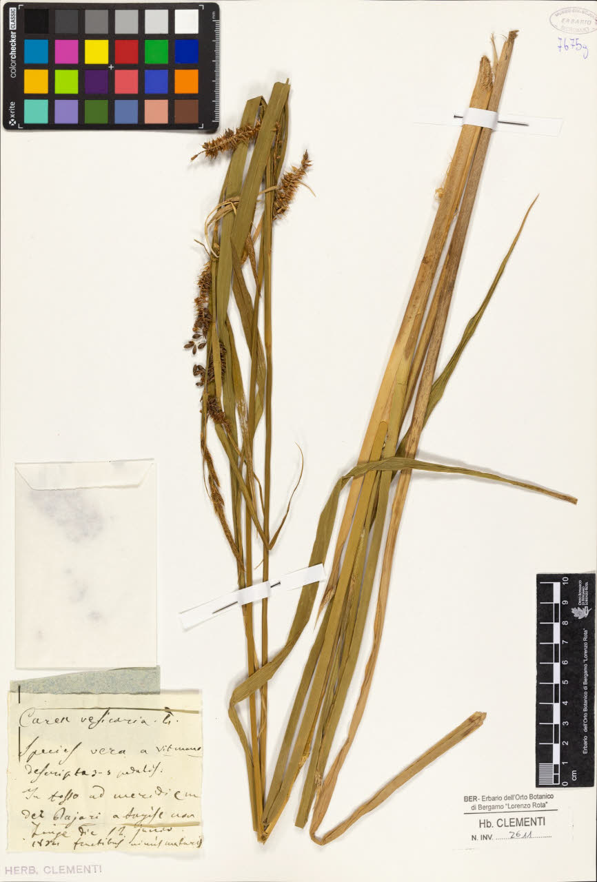 SW_BNB_s3010-01395_IMG-0000000001