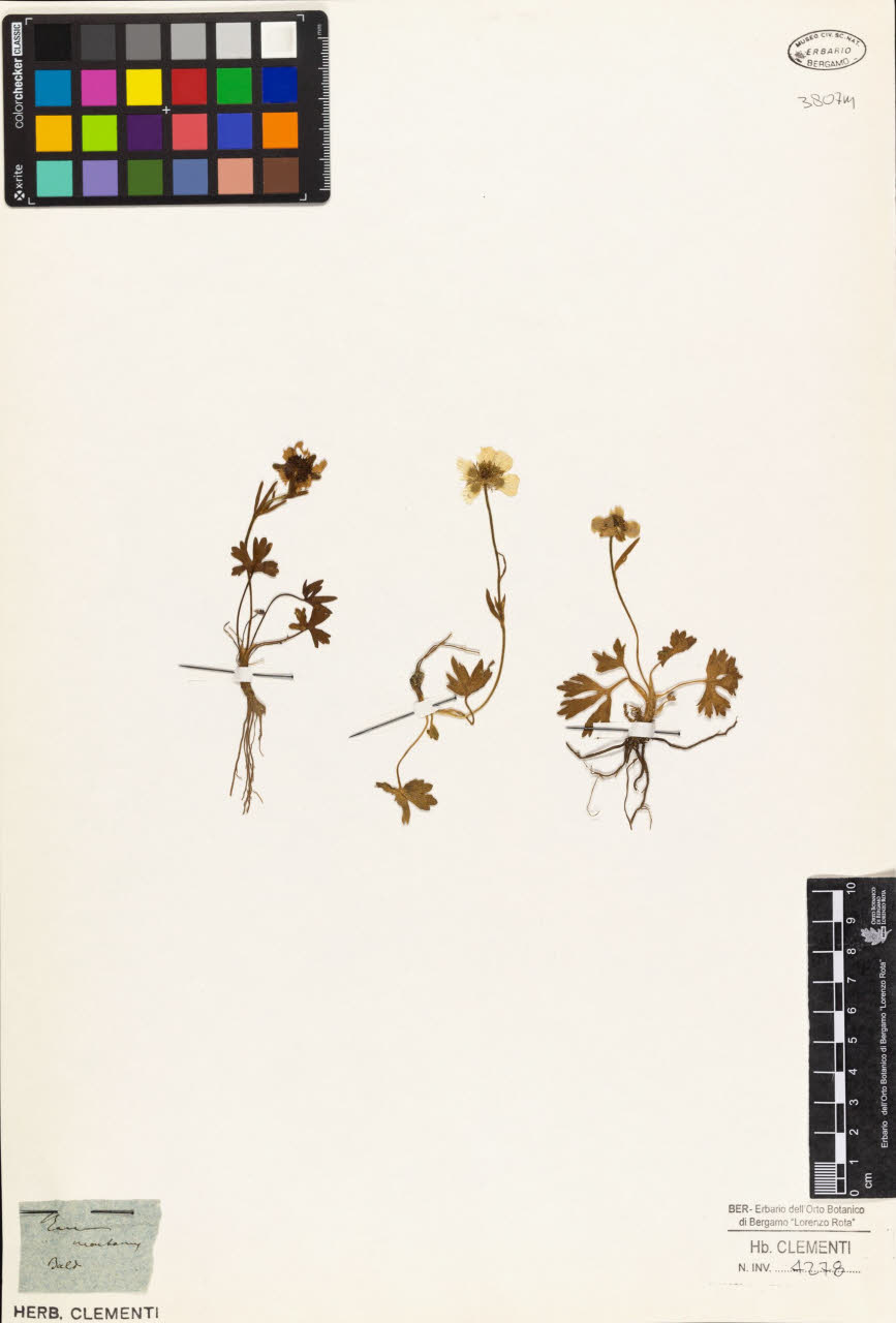 SW_BNB_s3010-01396_IMG-0000000001