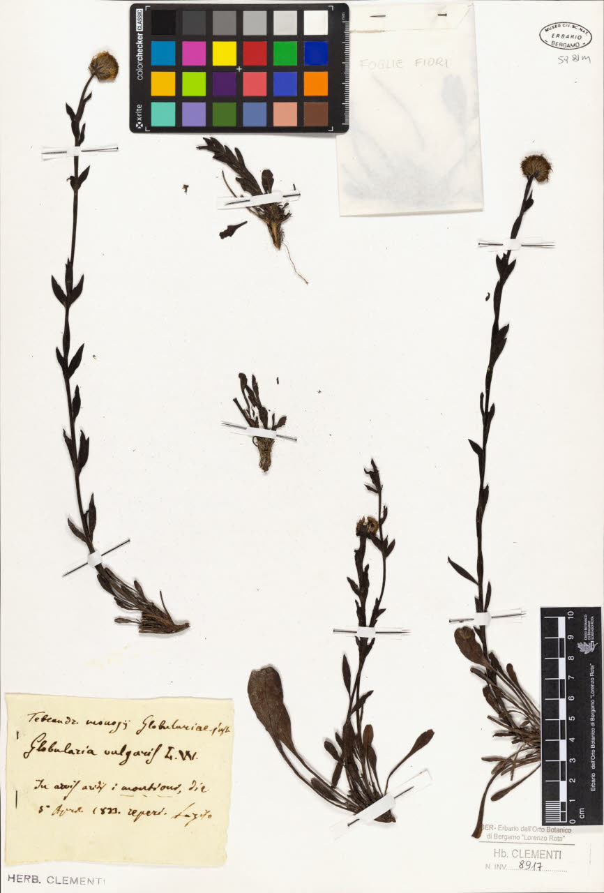 SW_BNB_s3010-01397_IMG-0000000001