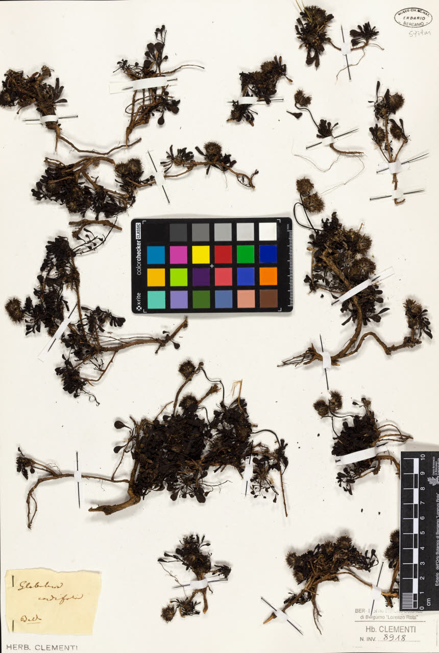 SW_BNB_s3010-01398_IMG-0000000001