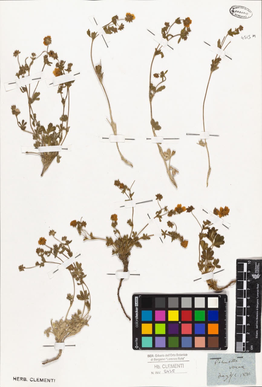 SW_BNB_s3010-01401_IMG-0000000001