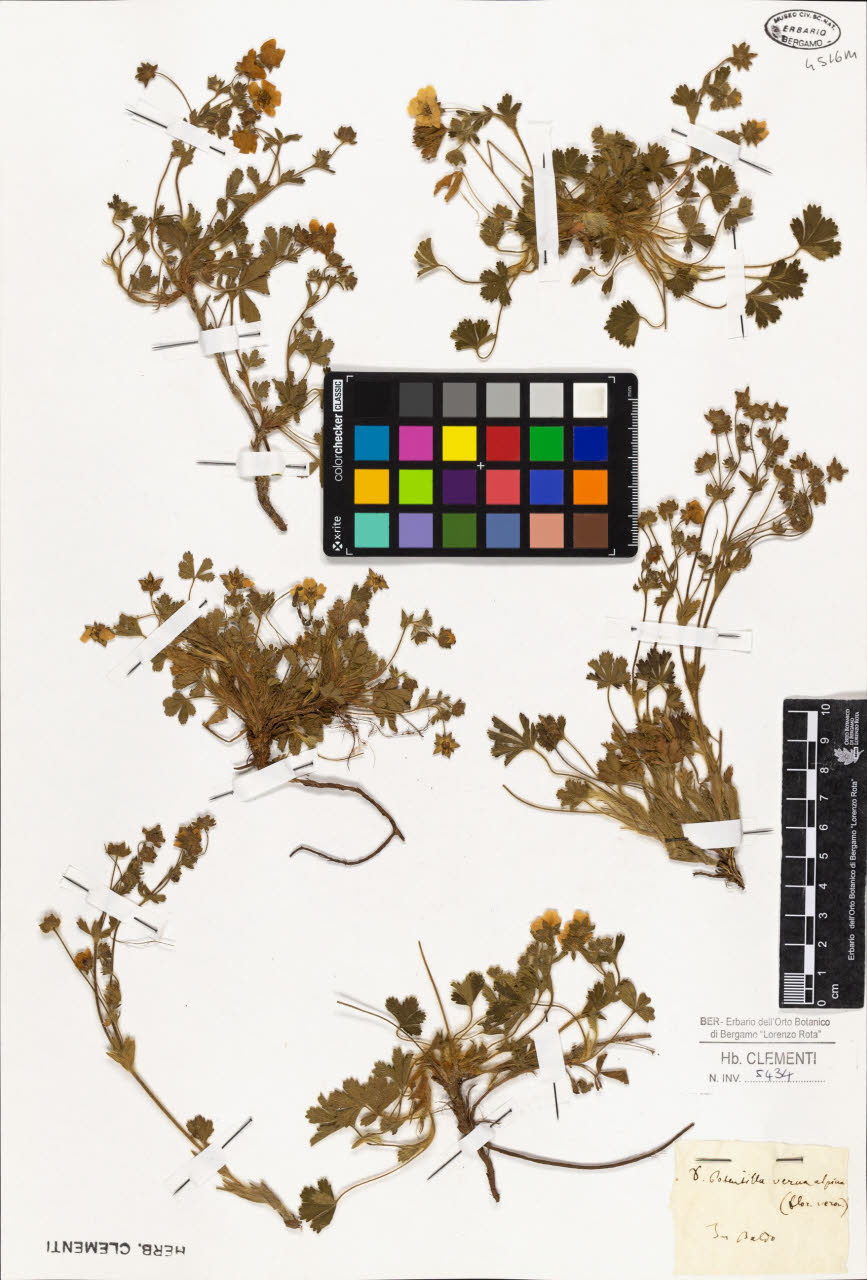 SW_BNB_s3010-01402_IMG-0000000001