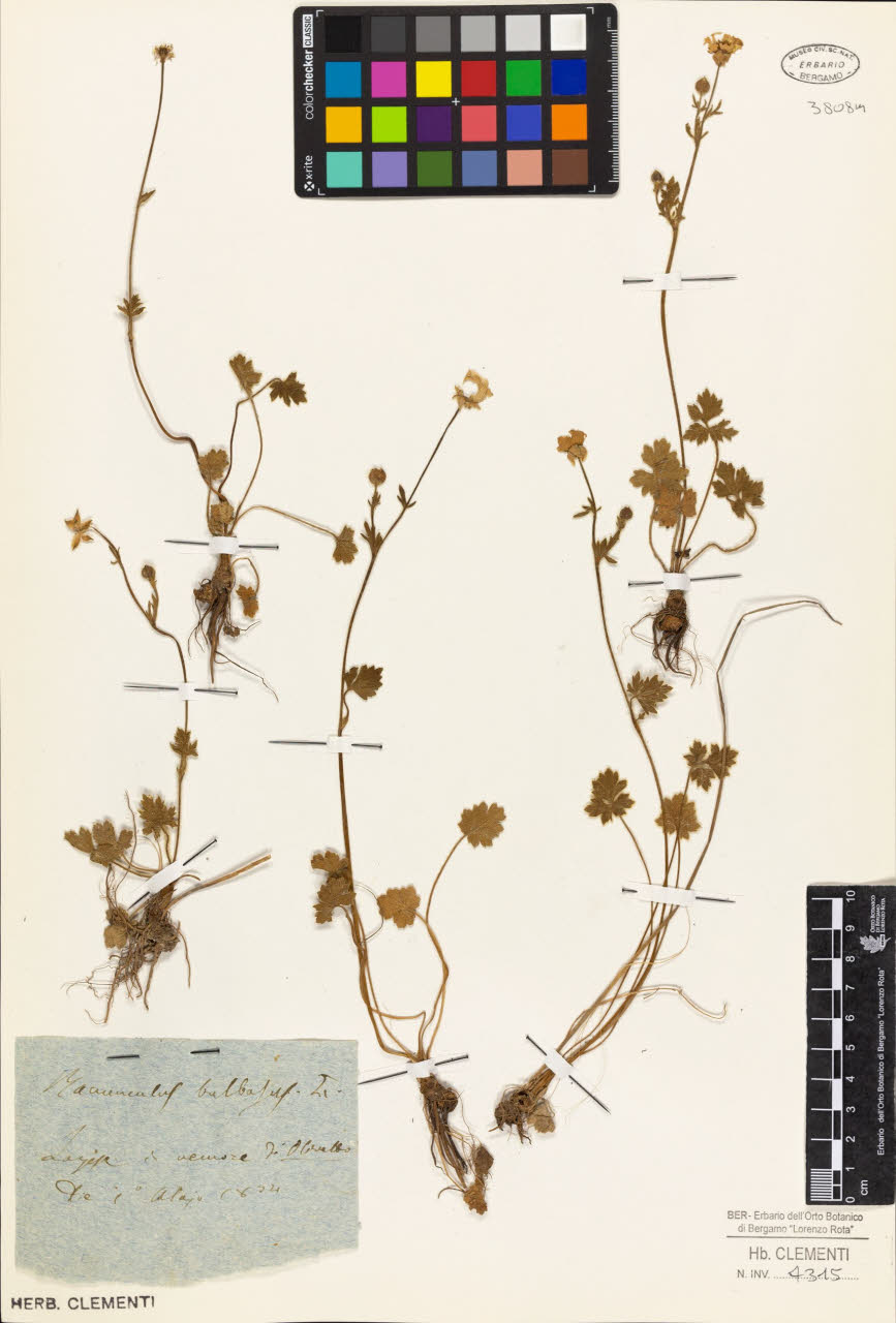 SW_BNB_s3010-01403_IMG-0000000001