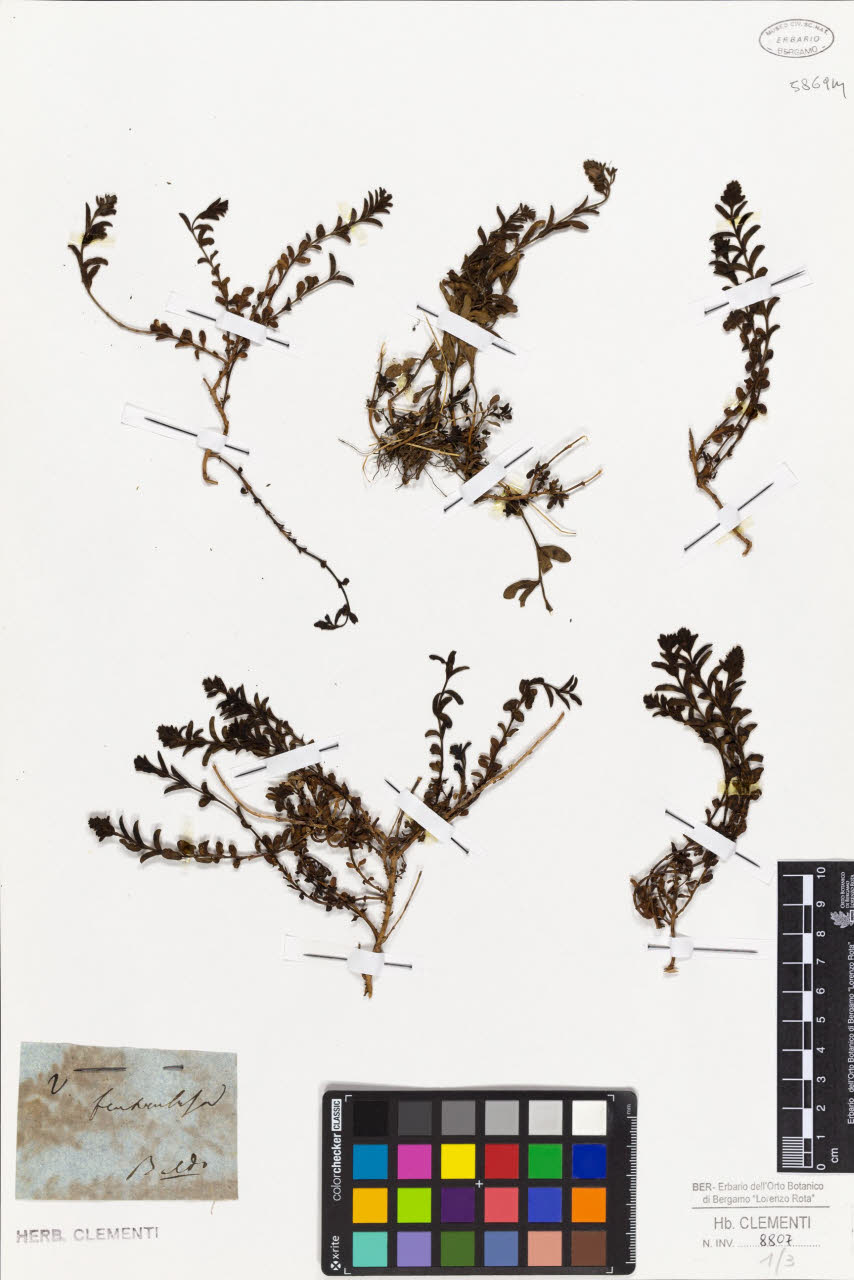 SW_BNB_s3010-01404_IMG-0000000001