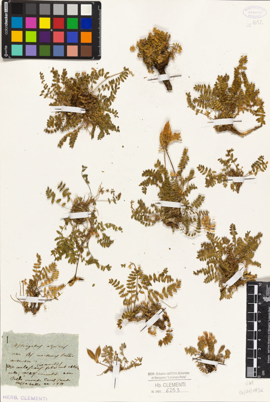 SW_BNB_s3010-01405_IMG-0000000001