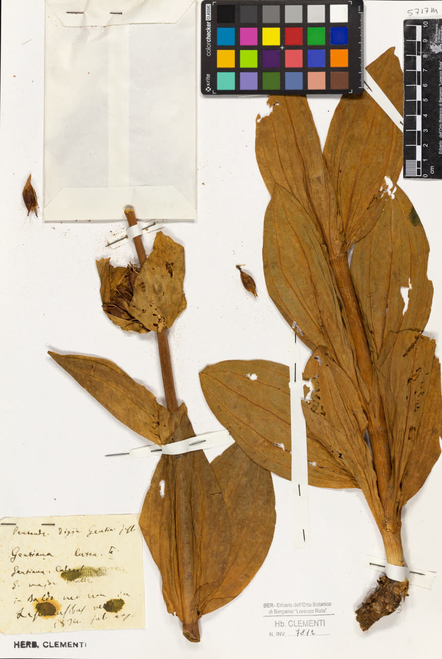 SW_BNB_s3010-01406_IMG-0000000001