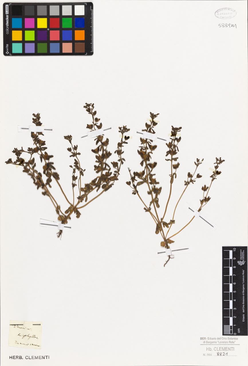 SW_BNB_s3010-01407_IMG-0000000001