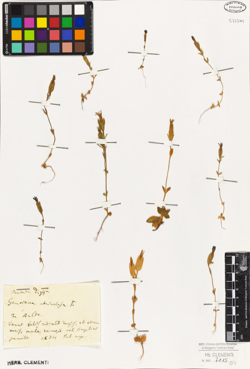 SW_BNB_s3010-01410_IMG-0000000001