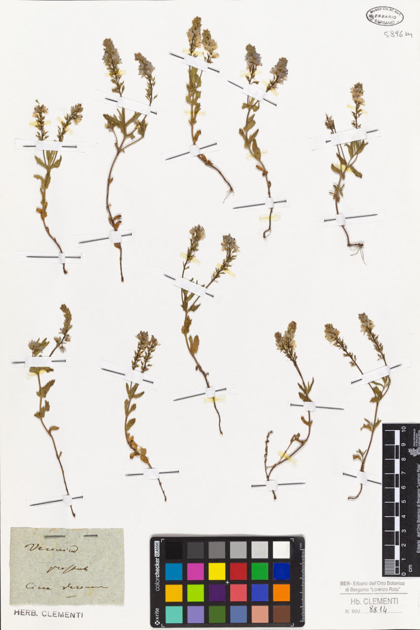 SW_BNB_s3010-01414_IMG-0000000001