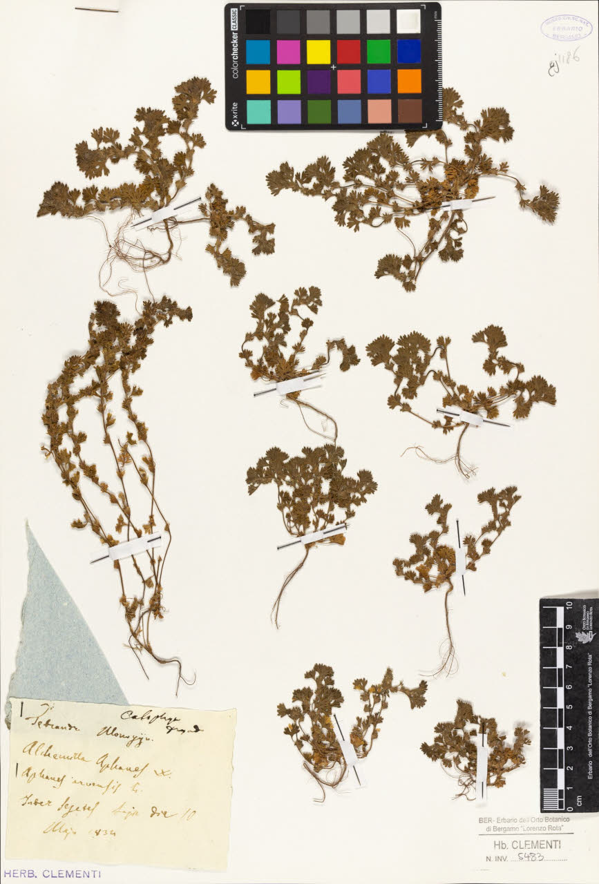 SW_BNB_s3010-01415_IMG-0000000001