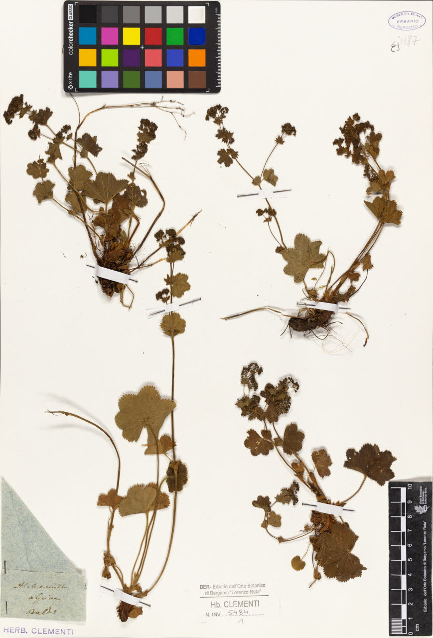 SW_BNB_s3010-01416_IMG-0000000001