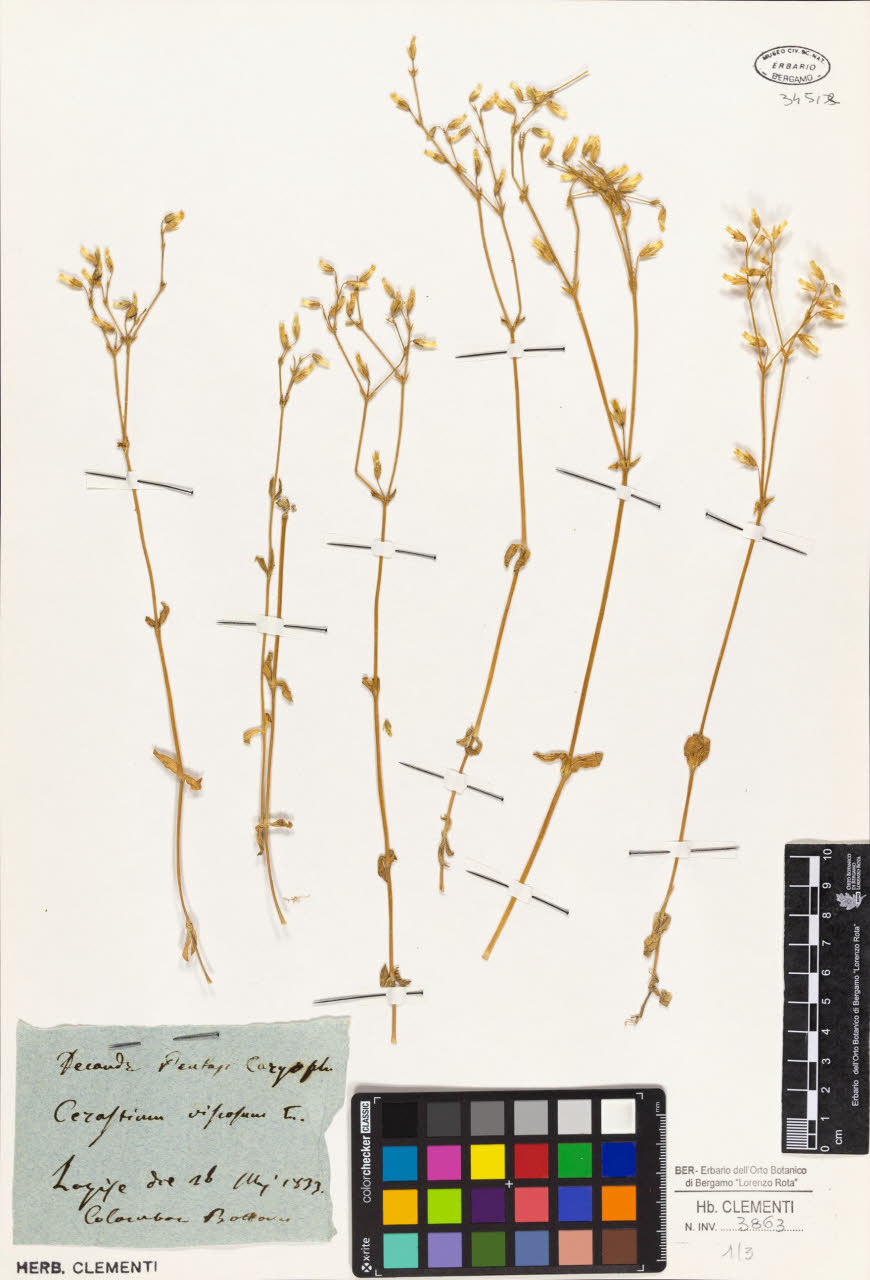 SW_BNB_s3010-01418_IMG-0000000001