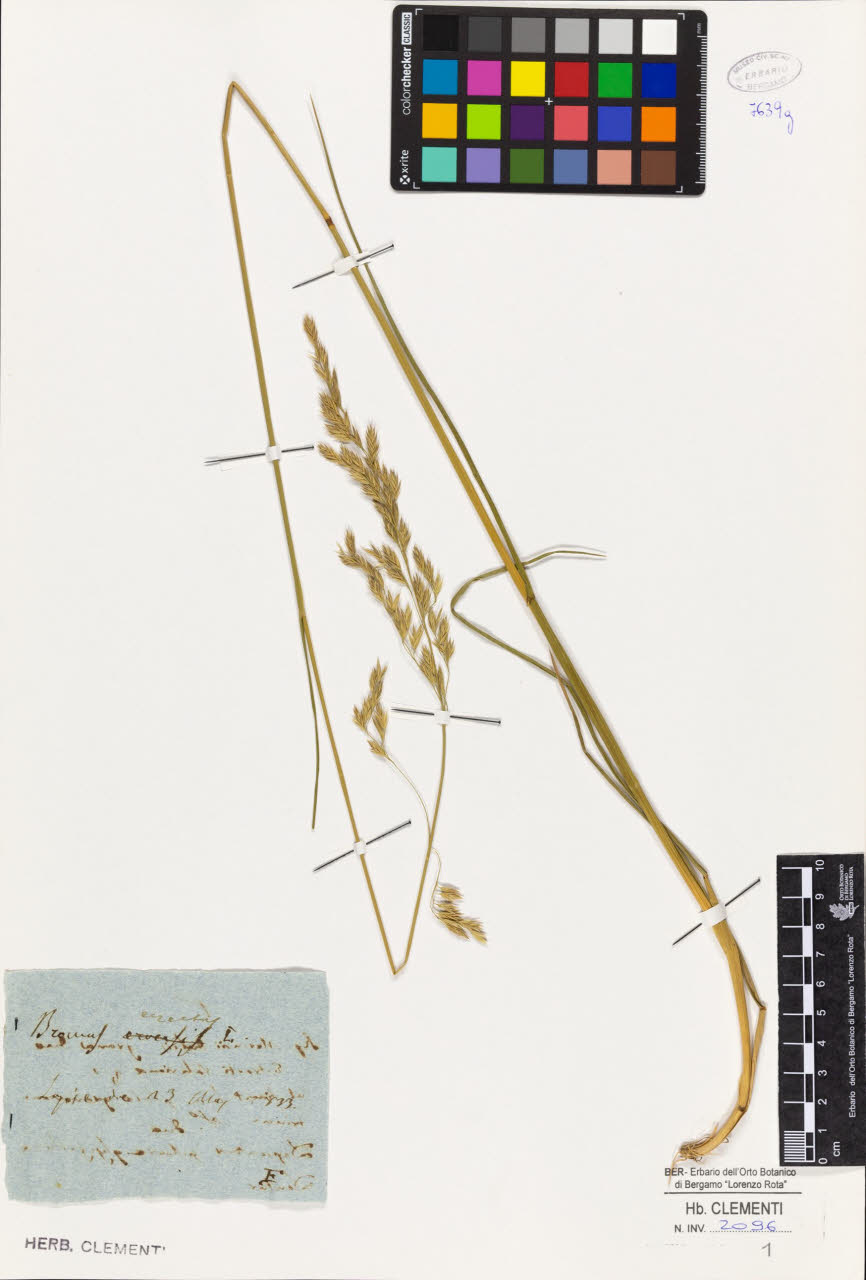 SW_BNB_s3010-01419_IMG-0000000001