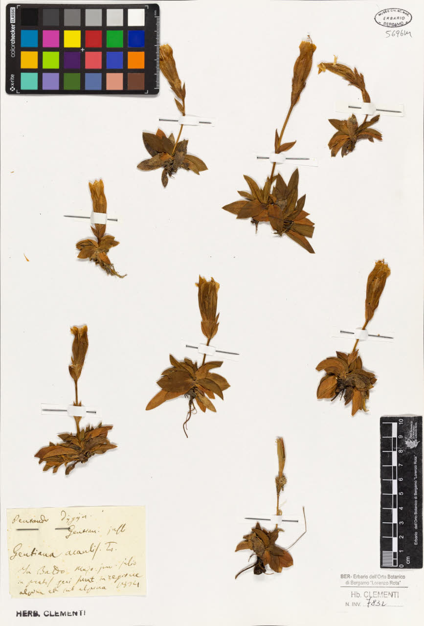 SW_BNB_s3010-01421_IMG-0000000001