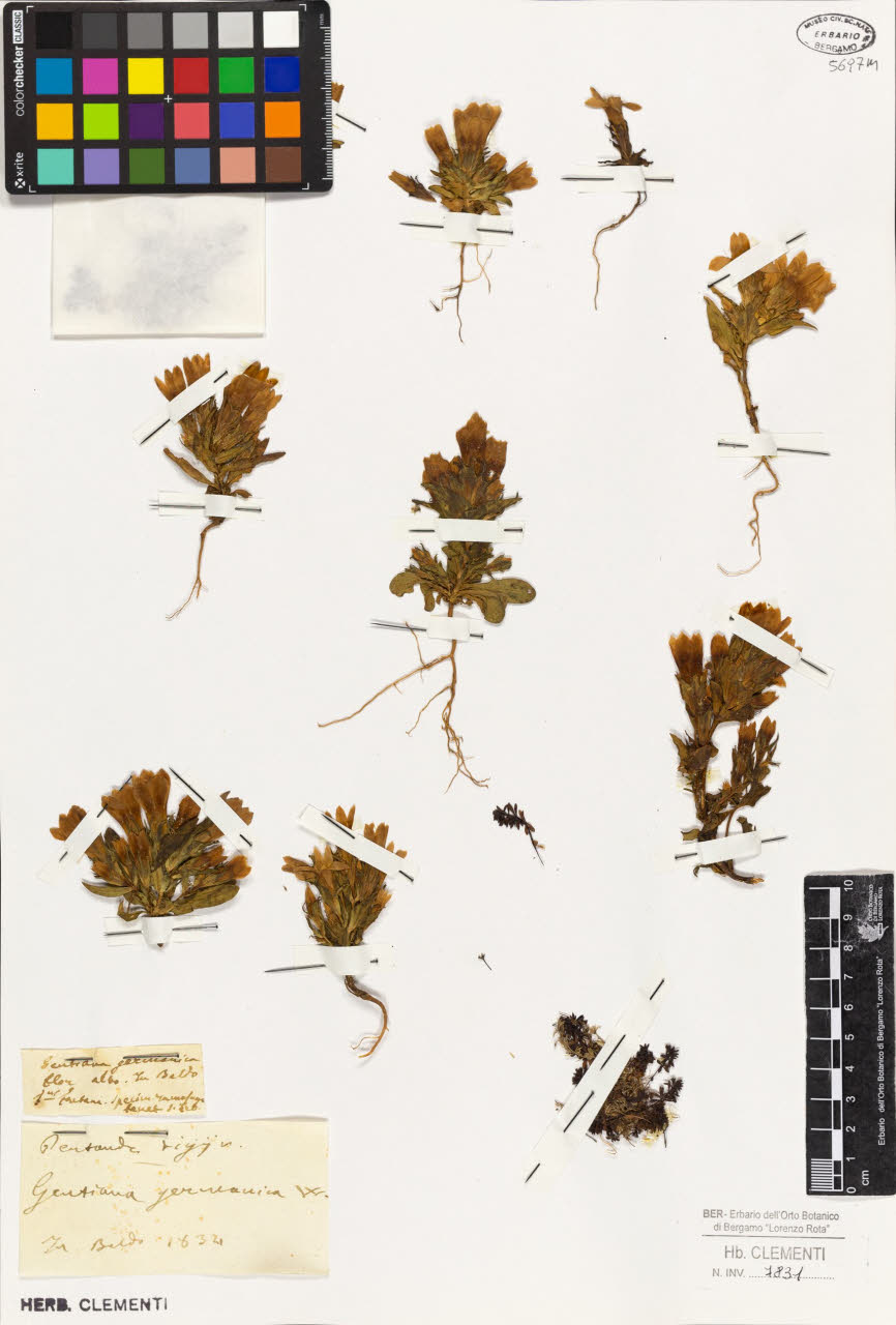 SW_BNB_s3010-01422_IMG-0000000001