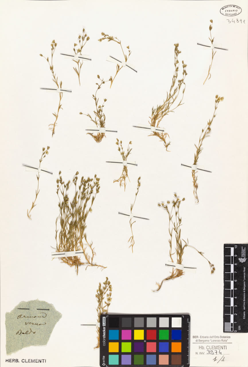 SW_BNB_s3010-01423_IMG-0000000001