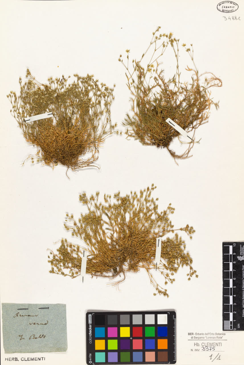 SW_BNB_s3010-01424_IMG-0000000001