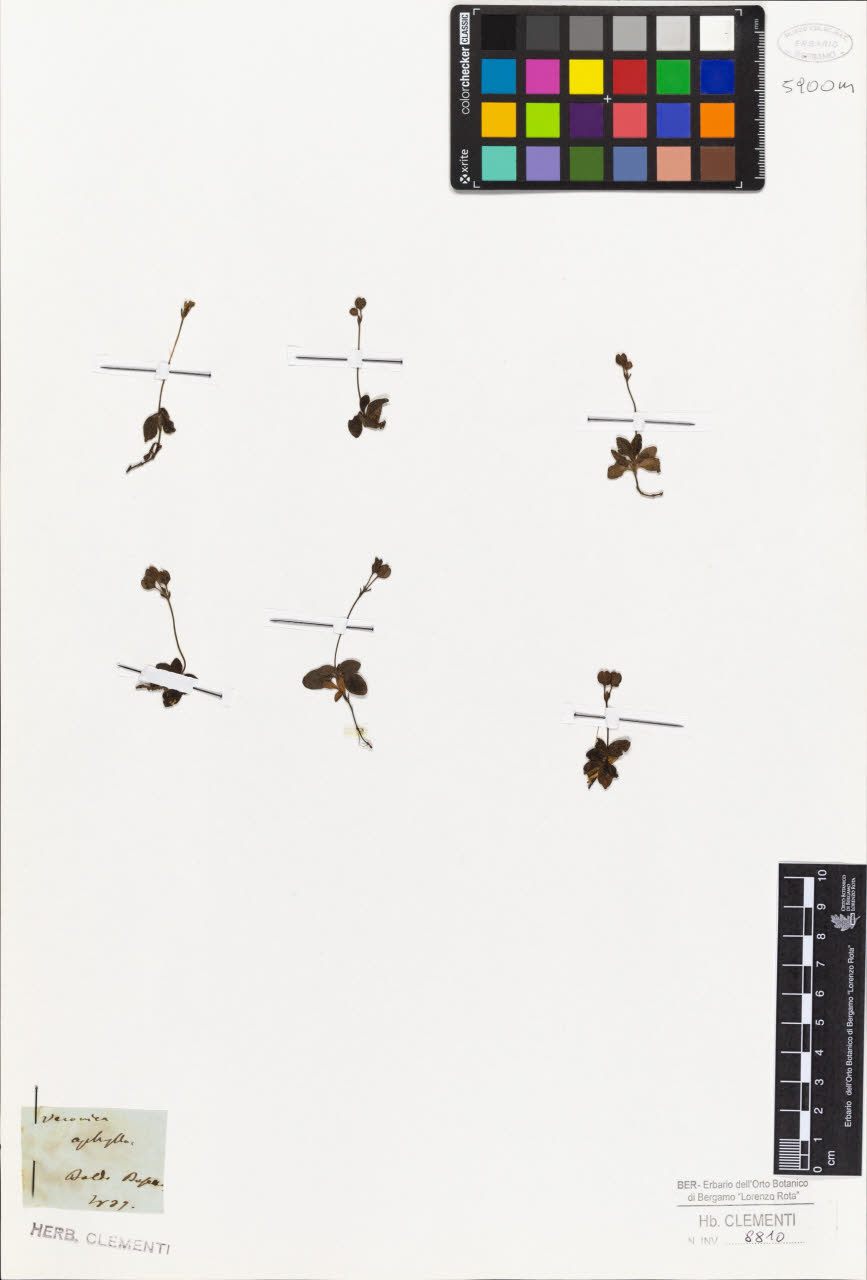 SW_BNB_s3010-01425_IMG-0000000001